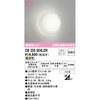 OB255024LDR uPbgCg ODELIC(I[fbN) 12220314