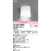 OB080488WR uPbgCg ODELIC(I[fbN) 12220865