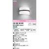 OB080961NR uPbgCg ODELIC(I[fbN) 12220944