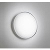 OW269021R oX[Cg ODELIC(I[fbN) 12222999