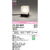 OG254885R u^K[fCg ODELIC(I[fbN) 12231119