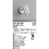 OG254345 GNXeAX|bgCg ODELIC(I[fbN) 12233036