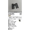 OG254546P1 lZT[tGNXeAX|bgCg ODELIC(I[fbN) 12233228