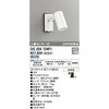 OG254724P1 lZT[tGNXeAX|bgCg ODELIC(I[fbN) 12233307