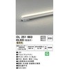 OL251683 ԐڏƖ X^_[h^Cv ODELIC(I[fbN) 12252715