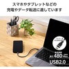 MPA-CCECSS05BK ^CvCP[u yUSB Type C to Cz PD 100W }[d VRf 炩 A~RlN^ GR 12327397