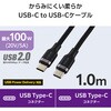 MPA-CCECSS10BK ^CvCP[u yUSB Type C to Cz PD 100W }[d VRf 炩 A~RlN^ GR 12327415