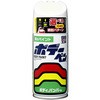 ボデーペン SOFT99