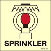 6045 Space protected by Sprinkler JJ CmSW(IMO Fire control symbols) Maritime Progress 12667710