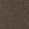 NT-71104 �J�[�y�b�g�^�C��NT-7110P D-eco �T���Q�c 12712579