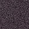 NT-71116 �J�[�y�b�g�^�C��NT-7110P D-eco �T���Q�c 12712825