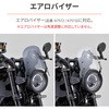 29704 XN[tXe[ 29704 DAYTONA(fCgi) 12717235