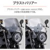 29704 XN[tXe[ 29704 DAYTONA(fCgi) 12717235