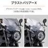 29704 XN[tXe[ 29704 DAYTONA(fCgi) 12717235