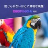 13006378,13006387,13006396
