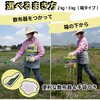 2kg ネコソギブロックV粒剤 レインボー薬品 13044197