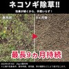 13044301