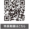 13061119