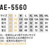 13066710