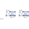 13071119,13071128,13071137,13071146,13071155,13071164,13071180,13071189,13071198,13071207,13071216,13071225,13071234