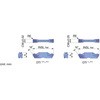 13071374,13071390,13071399,13071408
