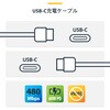 USB2CC2MNCWHE USB-Cケーブル/2m/USB 2.0/Type-C to Type-C/60W 3A PD/オス・オス/ホワイト/高速充電 データ転送 StarTech.com 13132887