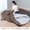 20125209 zcJo[ iCXfC 13156510