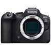 ミラーレスカメラ EOS R6 Mark II・ボディー Canon