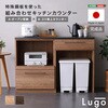 日本製 特殊鋼板を使った組み合わせキッチンカウンター【Lugo-ルゴ-】120cm オープン収納+ゴミ箱上カウンター ホームテイスト