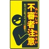 CPY-05 j[R[TC hƕW sRҒ O[NX 13169181