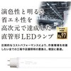 ECL-LD4EGN-S3A 直管形LEDランプ 工事専用 高演色タイプ(スリムモデル) エコリカ 13195187
