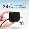 IAC-10S1/BK Type-C ACA_v^ 2D4A MCO 13376206