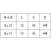 6X17 GBJCN6JNAi4qD17A ㍰ 13388439