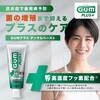 ハーブミント GUM(ガム)・プラスデンタルペースト サンスター 13413297