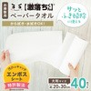 S01053 激落ちくん ふき掃除ペーパー LEC(レック) 13428864