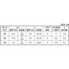 6X10 Xe(+)gXP=2 ㍰ 13444536