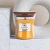 WW900-05-39 WWW[S J} 13454344
