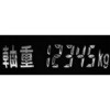 13498049