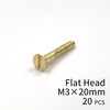 GALLUP(ギャラップ) Brass Products ブラススクリュー フラットヘッド M3×20mm(皿頭)20本パック Brass Products(ブラス・プロダクツ)