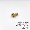 GALLUP(ギャラップ) Brass Products ブラススクリュー フラットヘッド M5×20mm(皿頭)20本パック Brass Products(ブラス・プロダクツ)