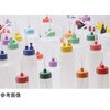 13616596,13616605,13616621,13616630,13616639,13616648,13616657,13616666,13616675,13616691,13616700,13616709