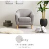 G1P-PB \t@[ 1l|  70 cm RpNg Pn   13816665