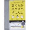 大人のザラザラ下敷きA4 レイメイ藤井