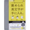 大人のザラザラ下敷きB5 レイメイ藤井