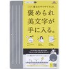大人のザラザラ下敷きA5 レイメイ藤井