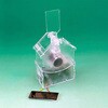 ソーラースイング【組立完成品】 ワンダーキット