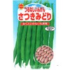 【タネ】つるなしいんげん さつきみどり インゲン 野菜 アタリヤ農園