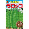 【タネ】つるあり モロッコ インゲン いんげん 野菜 アタリヤ農園