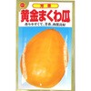【タネ】芳香 黄金まくわ瓜 うり 野菜 アタリヤ農園