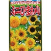 【タネ】ミニタイプのバラエティミックス ミニひまわり 花 アタリヤ農園